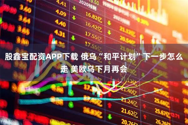 股鑫宝配资APP下载 俄乌“和平计划”下一步怎么走 美欧乌下月再会