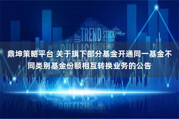 鼎坤策略平台 关于旗下部分基金开通同一基金不同类别基金份额相互转换业务的公告