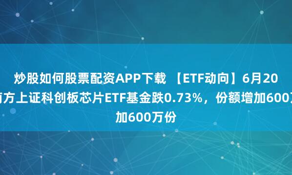 炒股如何股票配资APP下载 【ETF动向】6月20日南方上证科创板芯片ETF基金跌0.73%，份额增加600万份